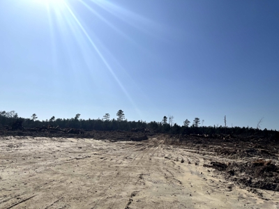 The West Truxno Tract in Union Parish, Louisiana - image 3