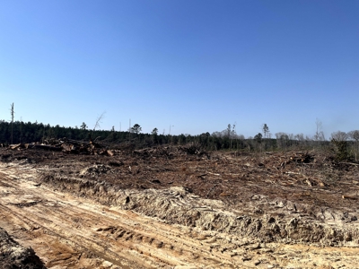 The West Truxno Tract in Union Parish, Louisiana - image 4