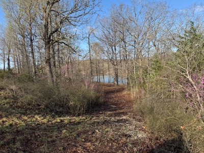 Lakefront Lots On Diamond Lake In Arkansas - image 1