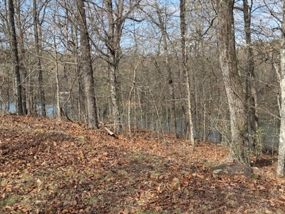 Lakefront Lots On Diamond Lake In Arkansas - image 8