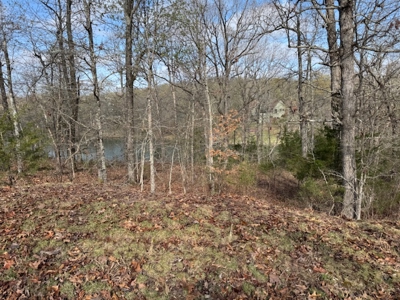 Lakefront Lots On Diamond Lake In Arkansas - image 3