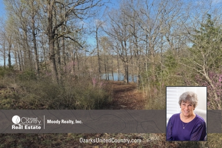 Lakefront Lots On Diamond Lake In Arkansas - image 10