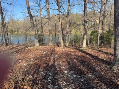Lakefront Lots On Diamond Lake In Arkansas - image 4
