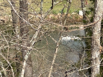 Lakefront Lots On Diamond Lake In Arkansas - image 7
