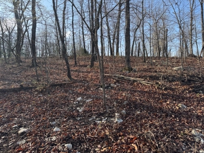 Lakefront Lots On Diamond Lake In Arkansas - image 9