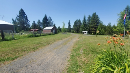 Country Home and Land for Sale in Clearwater County, ID - image 30