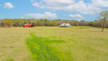 Winnsboro - Wood County Texas - 4/3 Country Home on 35 Acres + 2/1 in the 50x50 Shop - image 7