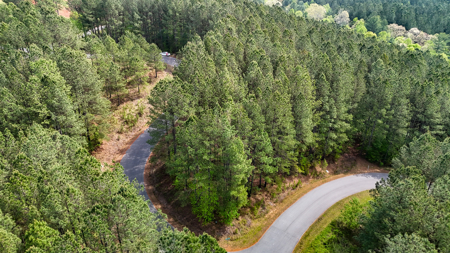 Private Lot With Views & Lake Access - Valdese NC - image 6