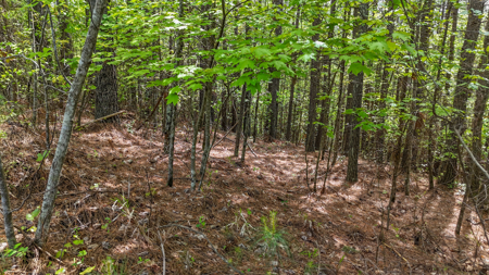 Private Lot With Views & Lake Access - Valdese NC - image 10