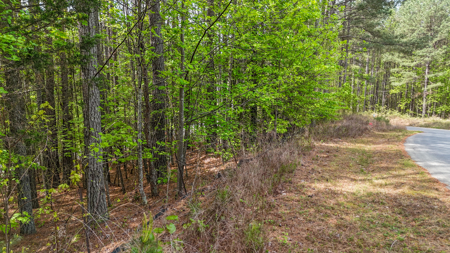 Private Lot With Views & Lake Access - Valdese NC - image 11