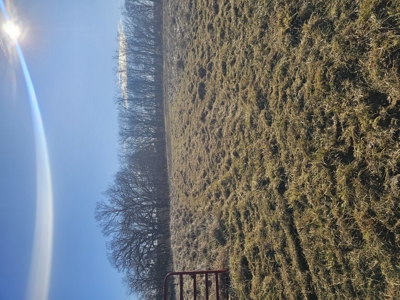 North Missouri Hunting farm for sale - image 22