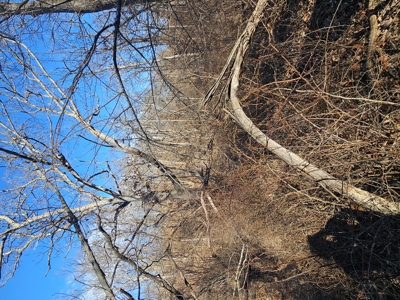 North Missouri Hunting farm for sale - image 26