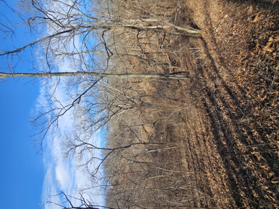 North Missouri Hunting farm for sale - image 30