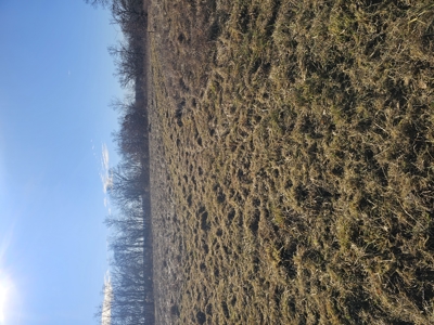 North Missouri Hunting farm for sale - image 21