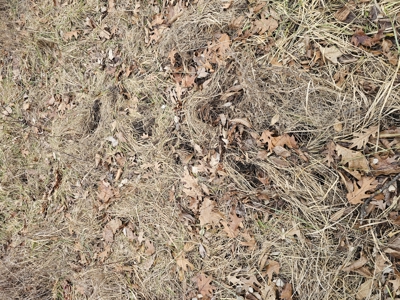 North Missouri Hunting farm for sale - image 46