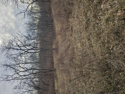 North Missouri Hunting farm for sale - image 42