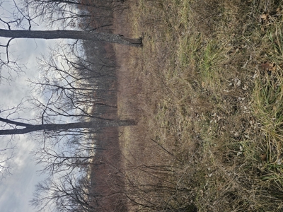 North Missouri Hunting farm for sale - image 40