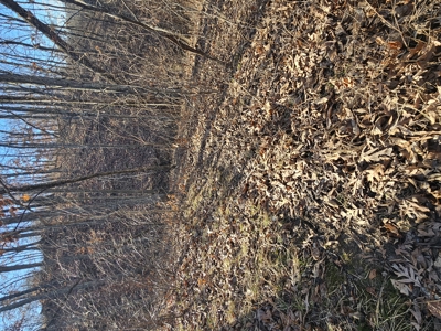 North Missouri Hunting farm for sale - image 32