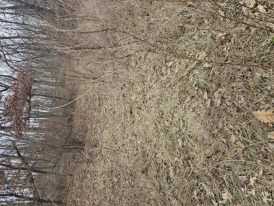 North Missouri Hunting farm for sale - image 41