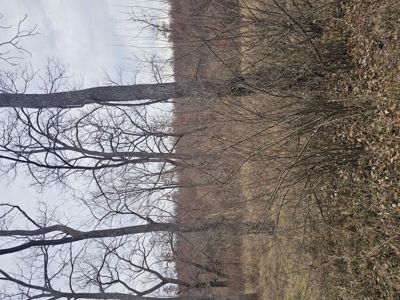 North Missouri Hunting farm for sale - image 44