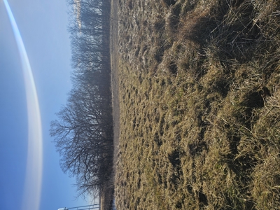 North Missouri Hunting farm for sale - image 24