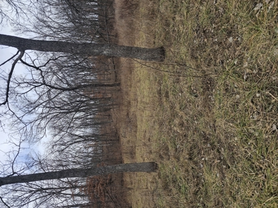 North Missouri Hunting farm for sale - image 39