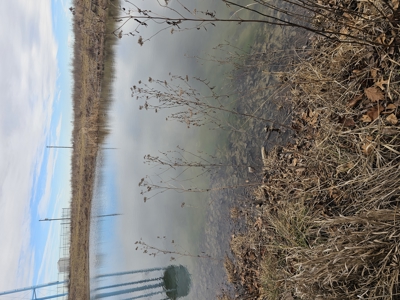 North Missouri Hunting farm for sale - image 36