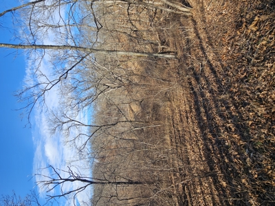North Missouri Hunting farm for sale - image 28