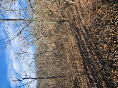 North Missouri Hunting farm for sale - image 29