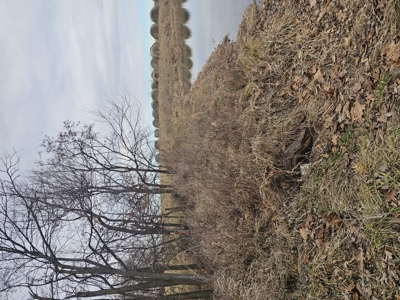 North Missouri Hunting farm for sale - image 35