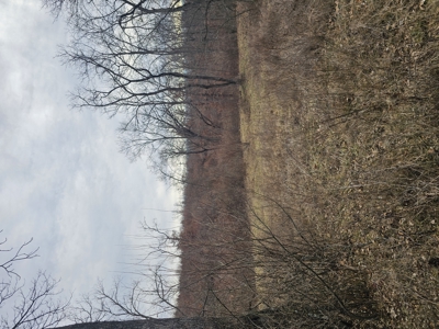 North Missouri Hunting farm for sale - image 43