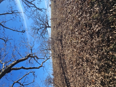 North Missouri Hunting farm for sale - image 34