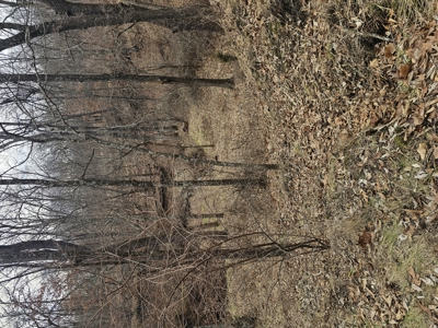 North Missouri Hunting farm for sale - image 47