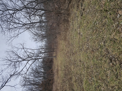 North Missouri Hunting farm for sale - image 38