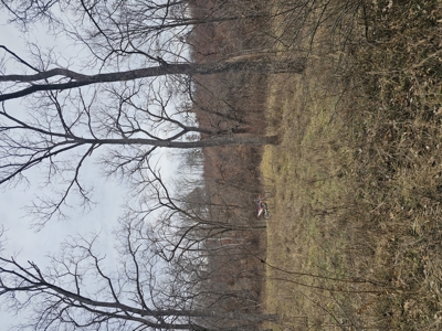North Missouri Hunting farm for sale - image 45