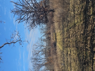 North Missouri Hunting farm for sale - image 19