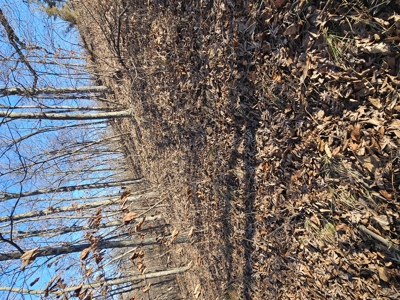 North Missouri Hunting farm for sale - image 33