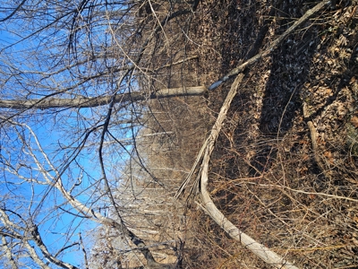North Missouri Hunting farm for sale - image 27