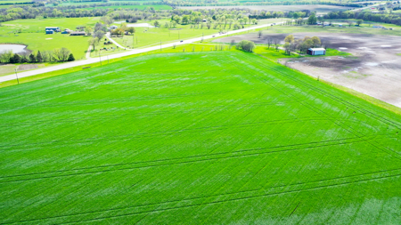 Exceptional Investment Opportunity Along Hwy 121 - image 16