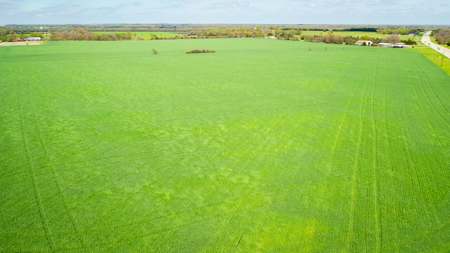 Exceptional Investment Opportunity Along Hwy 121 - image 7