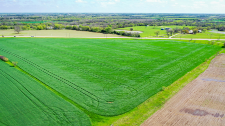 Exceptional Investment Opportunity Along Hwy 121 - image 14