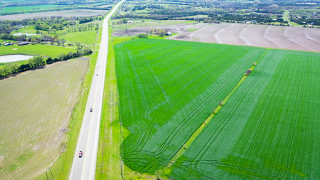 Exceptional Investment Opportunity Along Hwy 121 - image 8