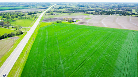 Exceptional Investment Opportunity Along Hwy 121 - image 13