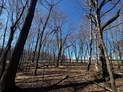 97.48± Acres of Tillable Land for Sale – Columbia County, WI - image 8