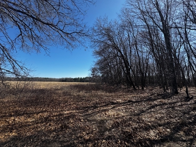 97.48± Acres of Tillable Land for Sale – Columbia County, WI - image 28