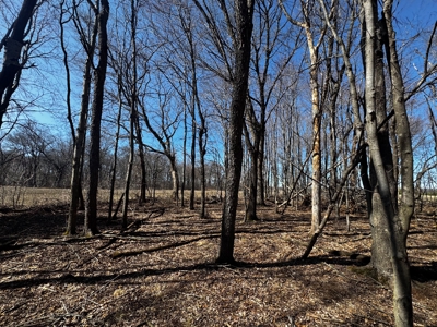 97.48± Acres of Tillable Land for Sale – Columbia County, WI - image 29
