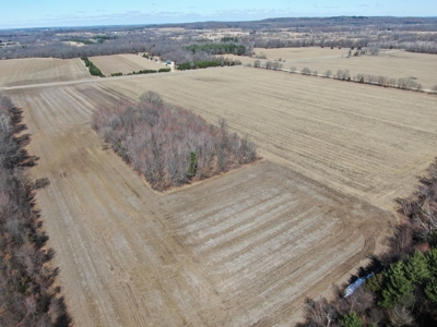 97.48± Acres of Tillable Land for Sale – Columbia County, WI - image 2
