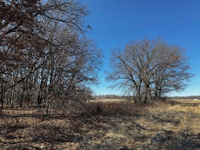 97.48± Acres of Tillable Land for Sale – Columbia County, WI - image 20