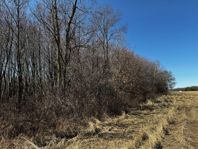 97.48± Acres of Tillable Land for Sale – Columbia County, WI - image 18