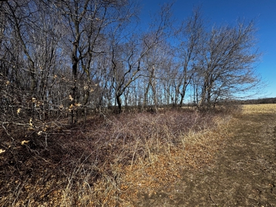 97.48± Acres of Tillable Land for Sale – Columbia County, WI - image 14